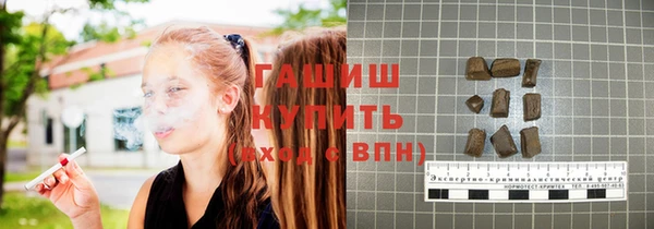 гидра Горняк
