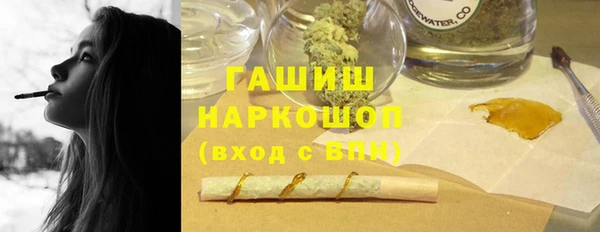 гидра Горняк