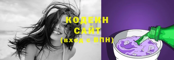 гидра Горняк