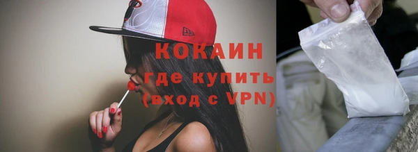 гидра Горняк