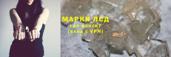 гидра Горняк