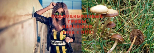 дживик Горнозаводск
