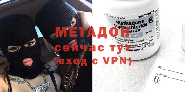 гидра Горняк