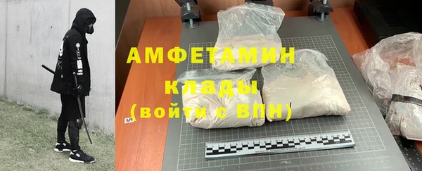 гидра Горняк