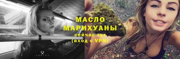 гидра Горняк