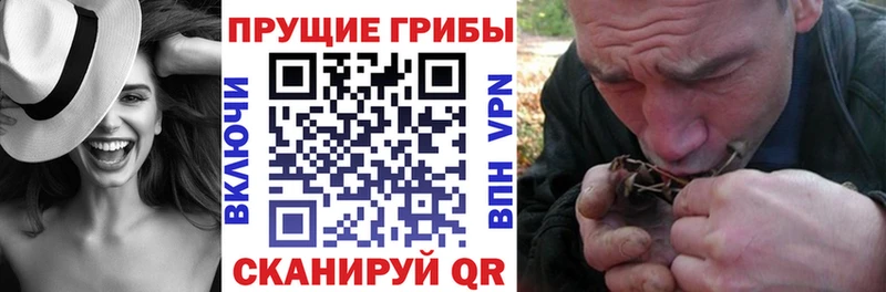 Галлюциногенные грибы мухоморы  Купить где  Мамадыш 